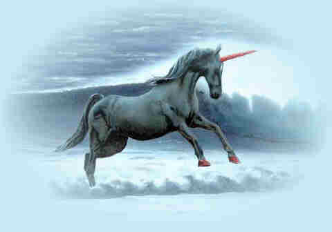 Einhorn.jpg (8469 Byte)
